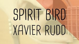 How to play Spirit Bird Xavier Rudd | Guitar Lesson & Songsheet