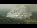 Stella McCartney X Greenpeace