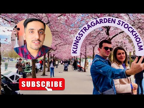 Visiting King’s Garden (Kungsträgården) Stockholm.