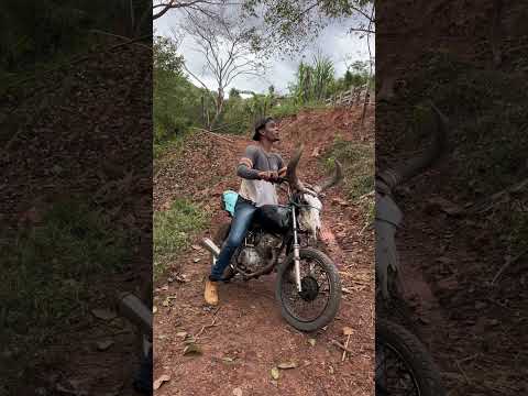 Esse menino fez eu correr esse tanto😡#roça #humor #moto #viral