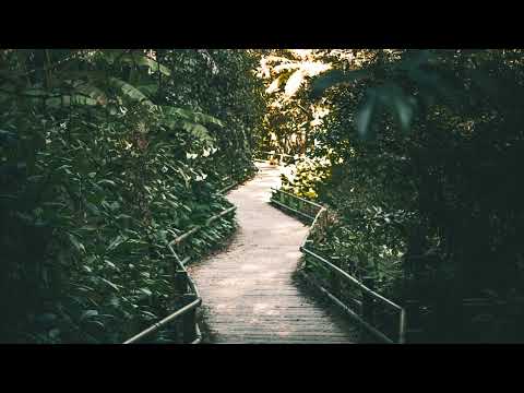 Aleksey Chistilin - Cinematic Asia