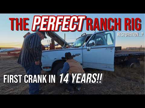 Parked in a field for 14 YEARS....think I found a new project