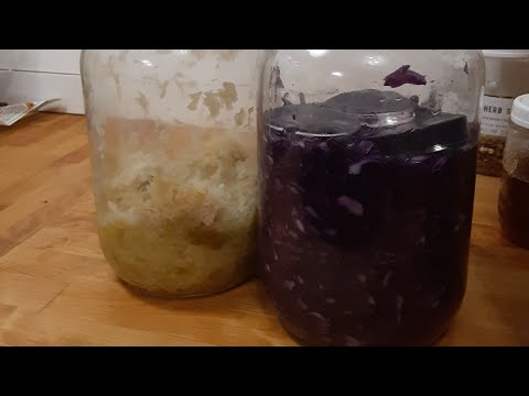 How to make sauerkraut