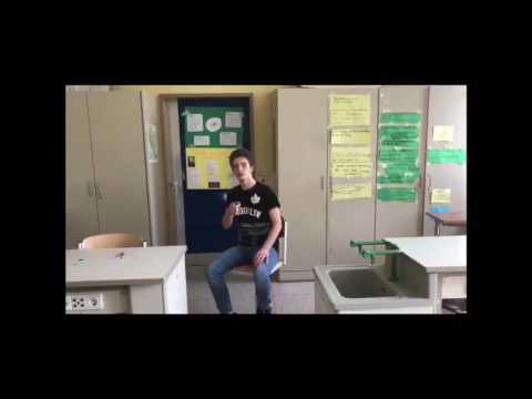 Die Milchsäuregärung (Erklärvideo)