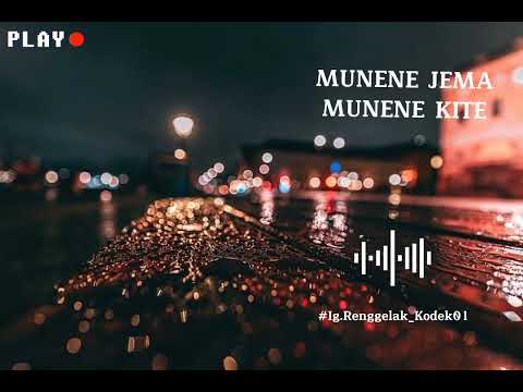 Story'wa gayo keren irfan cehkul unung unung