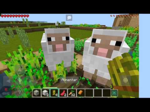 Pedro , Maria y Ramon