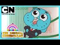 The Gumball Chronicles | Anais Makes a Family Discovery | Cartoon Network UK