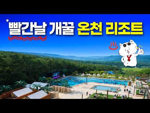 양양 최고의 히든 온천 리조트: 경험과 꿀팁 - 리뷰 총정리