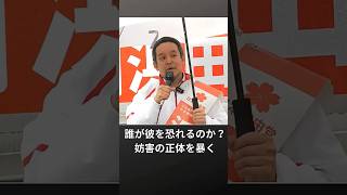 【実録】政治家・浜田聡への異常な妨害行為。#浜田聡  #質問主意書