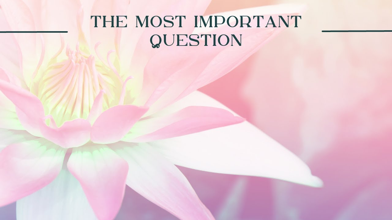 Guided Meditation  -  Most Important Question in Life