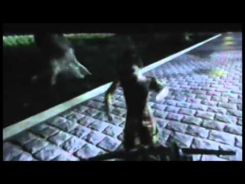 Trailer-Vorschau: Stay Alive