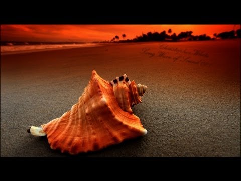 Christopher White - Long Wave of Sound 001 (Chillout set)
