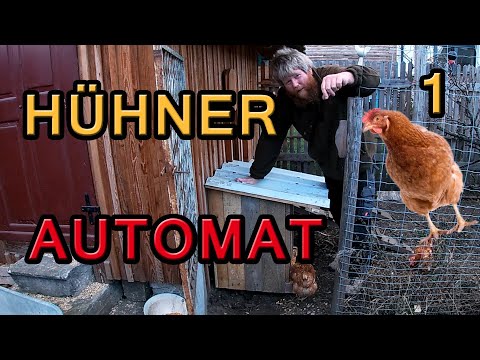 Hühnerfutterautomat 1