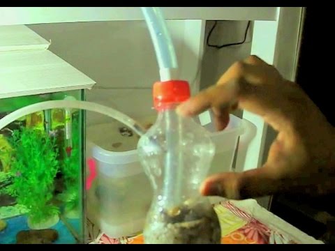 DIY: Powerful aquarium filter you would've never seen before