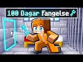 Överlever 100 Dagar I Minecraft FÄNGELSE