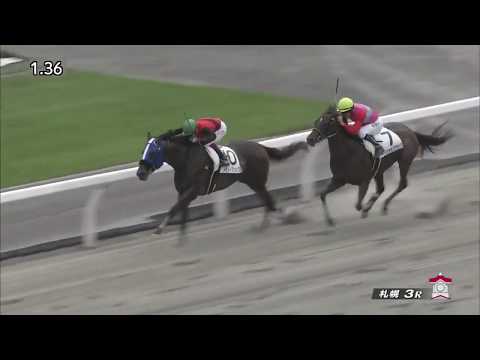 2017 Japan 3YO Maiden - Peisha of Wakia (ペイシャオブワキア) - 莫雷拉