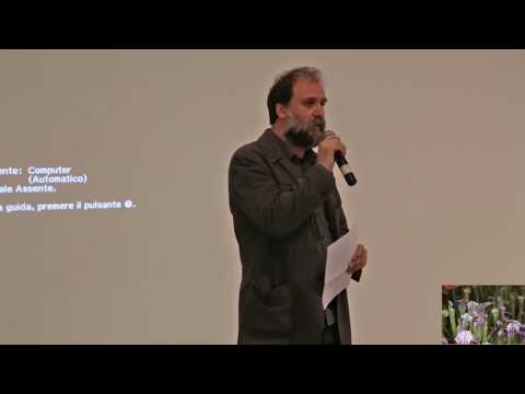 Ginocchio costi protesi articolare Dà dolore addominale