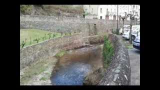 preview picture of video 'Rivière dans le village d'Estaing en Aveyron'
