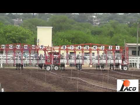 TRAIDORA HIPODROMO DON SOHAR CRUZ DEL EJE 17 12 2022