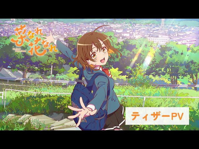 TVアニメ『菜なれ花なれ』ティザーPV ｜ 2024年放送決定！