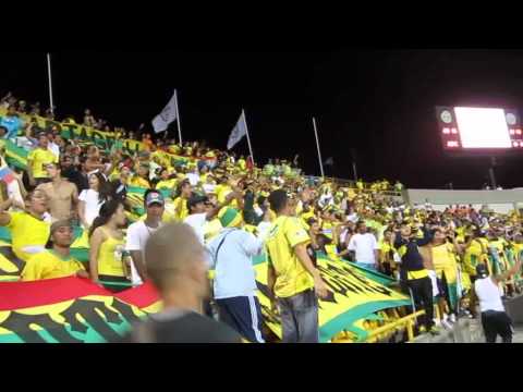 "Que todo el mundo sepa que los domingos" Barra: Rebelión Auriverde Norte &bull; Club: Real Cartagena