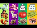 தமிழ் உயிரெழுத்துகள் மெய்யெழுத்துக�