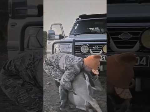 Deer Hunt /Burger Meat