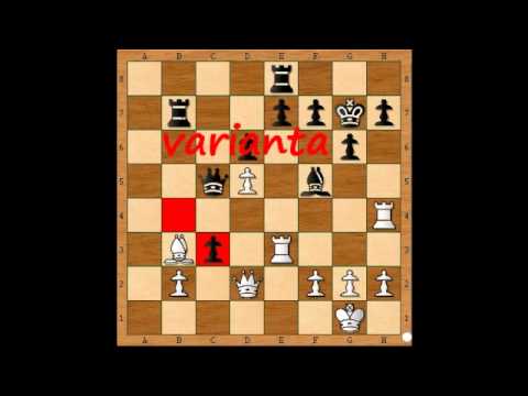 7.5. Matej Hrabuša - GM Tomáš Petrík 1 - 0