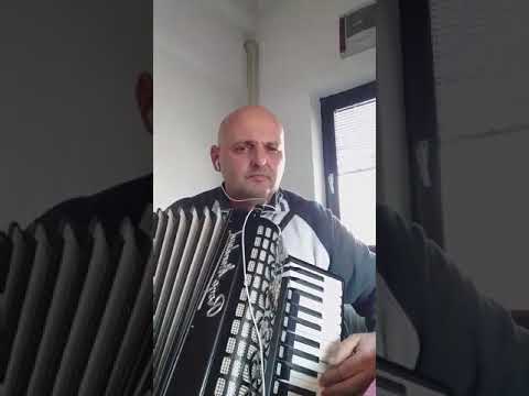 Zoran Mihajlović - Prolazi život