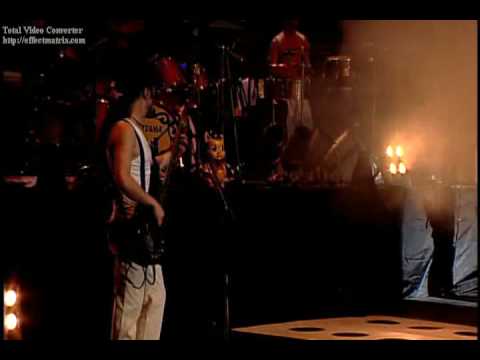 Chancho 6 DVD - Paquidermo Chancho en piedra