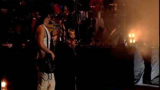 Chancho 6 DVD - Paquidermo Chancho en piedra