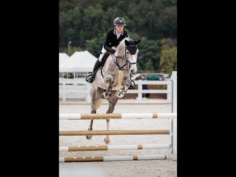 FOR SALE - 2021 gelding by Cornet’s Quaprice - CASPIAN Parcour I