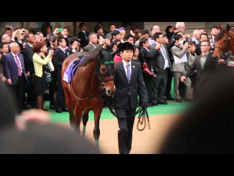 20141130 JAPANCUP　現地映像