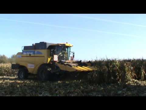 Loonw. Vandemaele - Lendelede