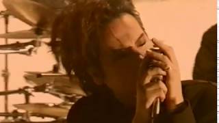 Body-02-I LOVE YOU (VIDEO FLAME)