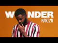 MARIZU - Wonder [Official AUDIO]