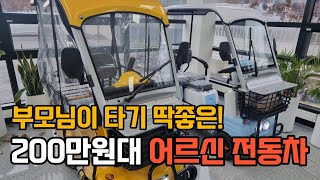 전동차 할인 이벤트! 시골 어르신에게 딱 좋은 농업용 전기차 댕기보이