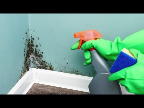 Do this immediately after water damage to your home