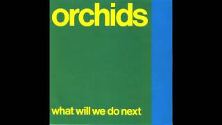 The Orchids - As Time Goes By