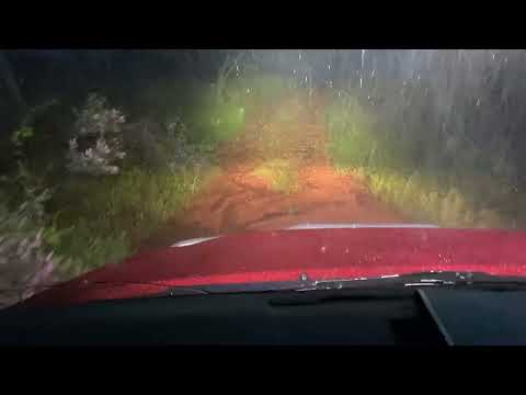 Heavy Rain