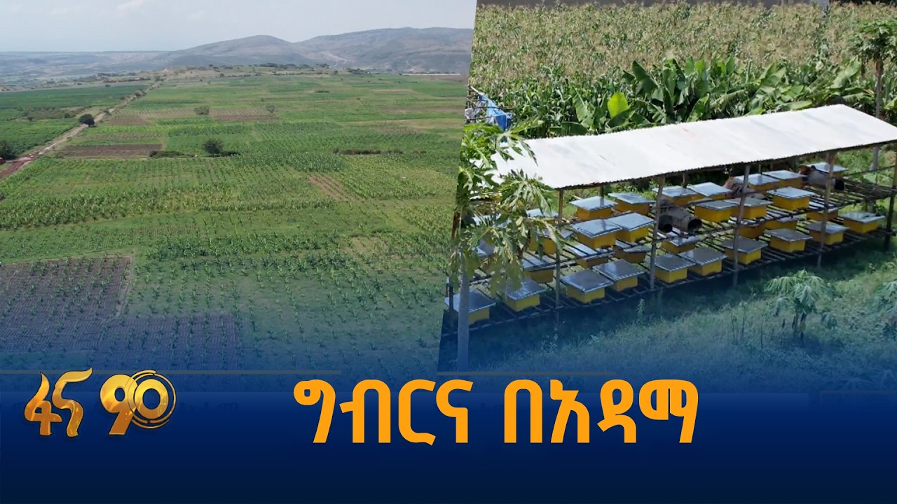 በአትክልት እና ፍራፍሬ የተገኘ ውጤት