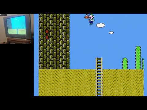 Super Mario Bros. 2 Any% 8:10.592 WR