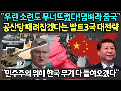 [유튜브] "우린 소련도 무너뜨렸다! 덤벼라 중국" 공산당 때려잡겠다는 발트3국의 대전략