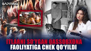 Itlarni so'ygan qassobxona faoliyatiga chek qo'yildi | GAPiRING+