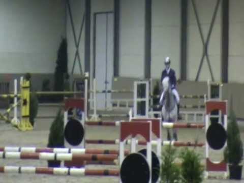 Chaplin of greenhill (Cassini I x Caretino) 6,5j winter.wmv