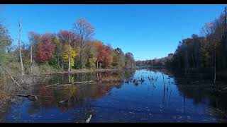 Swamp