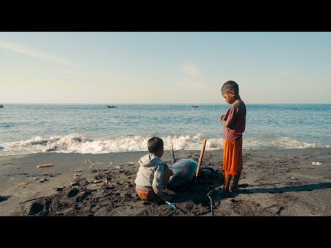 Trailer Lamalera - a legacy of whaling | Trailer