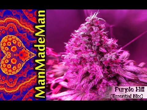 ManMadeMan - Purple Hill [The Essential Mix]