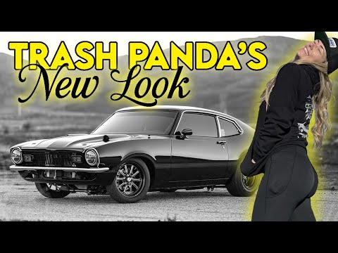 Trash Panda Isn't So Trashy Anymore