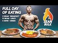 Full Day of Lean Bulking - 2731 Calories || Tristyn Lee (Meal Examples, Macros, Timing)